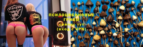 первитин Лабытнанги
