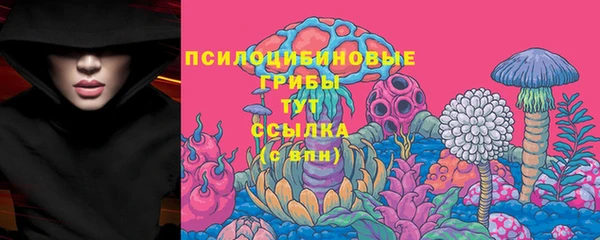 прущие крисы Куйбышев