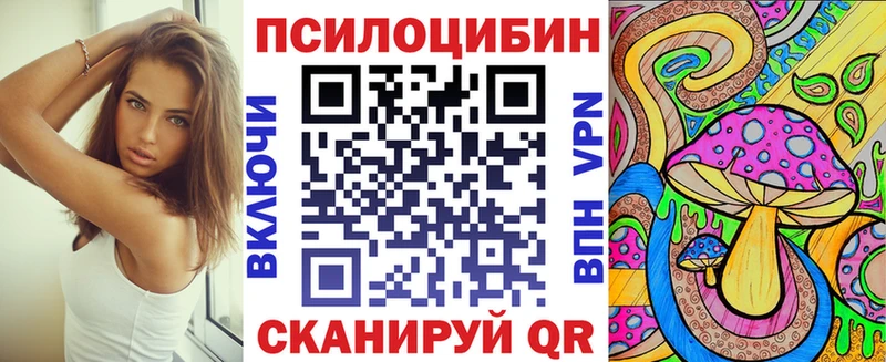 Купить закладки  Алзамай  Галлюциногенные грибы GOLDEN TEACHER 